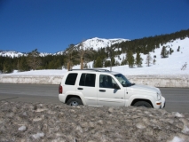 trip0595 trip0595