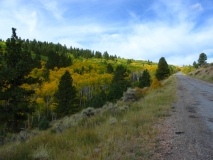 trip0740 trip0740