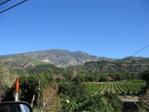 trip0517 trip0517