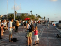 trip0145 trip0145