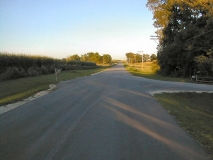 trip0331 trip0331