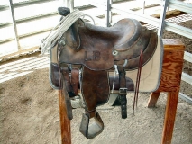 trip0040 trip0040