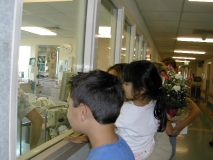 trip0438 trip0438
