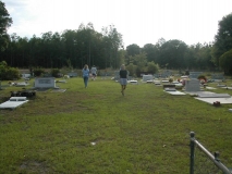 trip0200 trip0200
